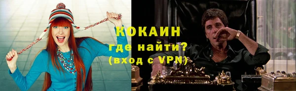 гидра Аркадак