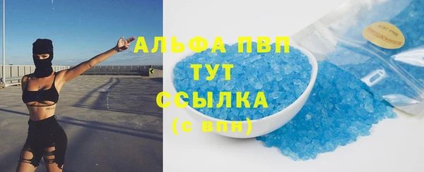 гидра Аркадак