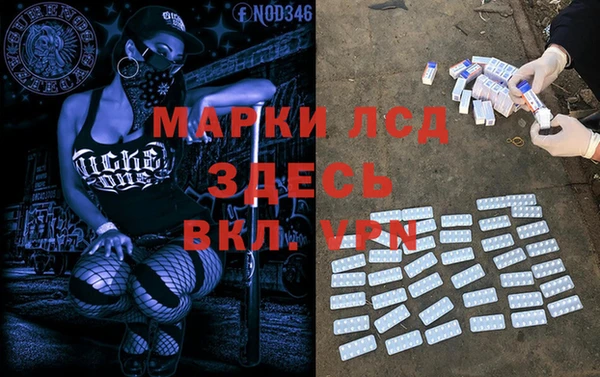гидра Аркадак