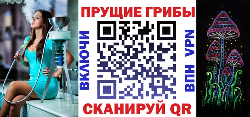 мега ТОР  Мурманск  Галлюциногенные грибы Magic Shrooms  как найти закладки 