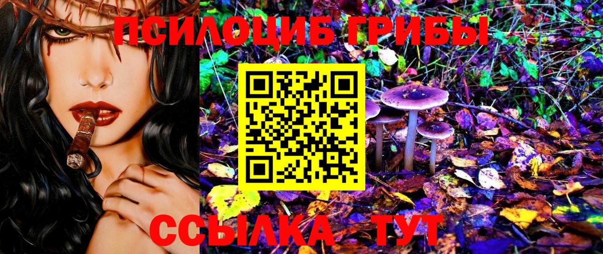 Галлюциногенные грибы прущие грибы Мурманск