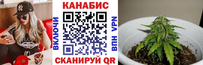 где купить наркоту  Мурманск  Конопля Amnesia 